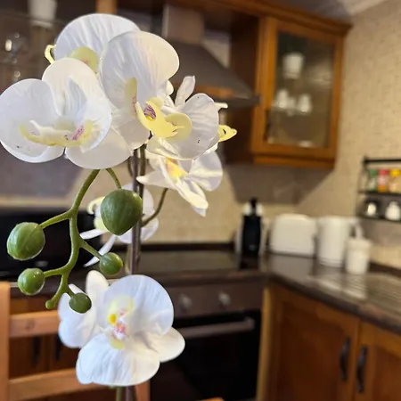 La Planta Vieja Iii דירה *