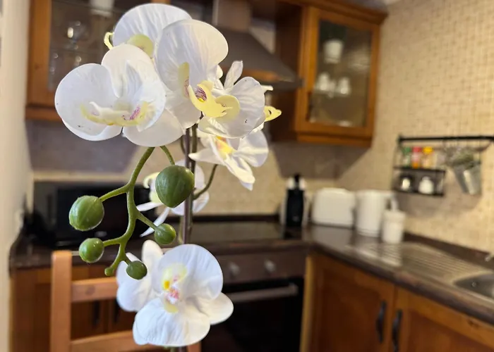 La Planta Vieja Iii Appartamento *