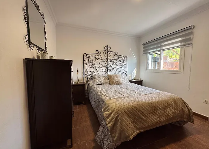 La Planta Vieja Iii La Orotava